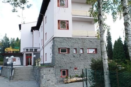 Hotel Manes Svratka Kültér fotó
