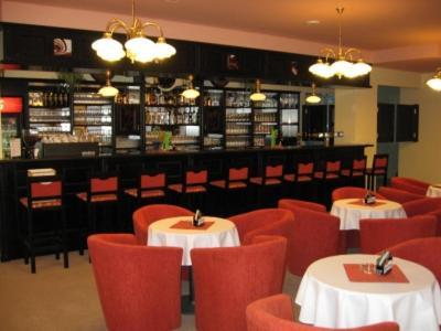 Hotel Manes Svratka Kültér fotó